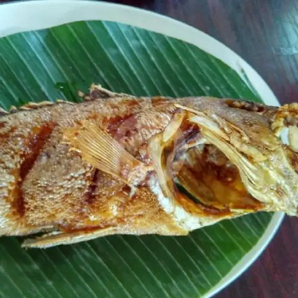 Ikan Goreng Kerapu Ukuran (Medium) (3 Ons) | Ikan Bakar Khas Jimbaran & Nasi Tempong Khas Banyuwangi
