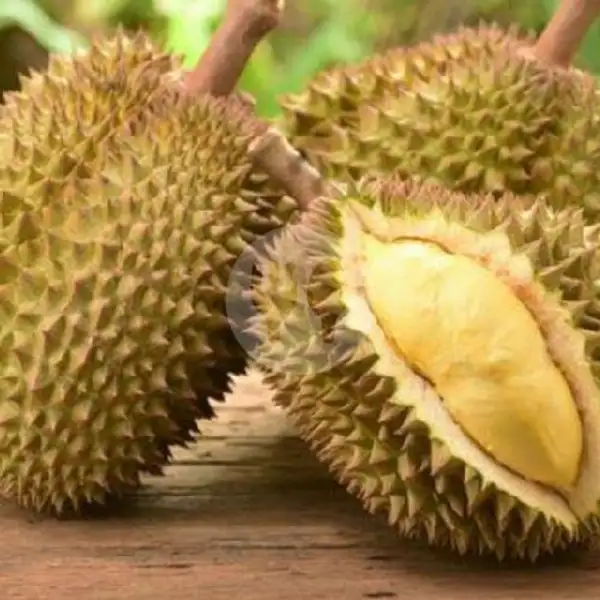 Durian Parongil Sedang (Bulat) | PECAL BERKAH 89