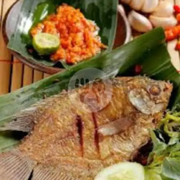 Nasi Penyet Ikan Gurame Goreng | Depot GALAN 39