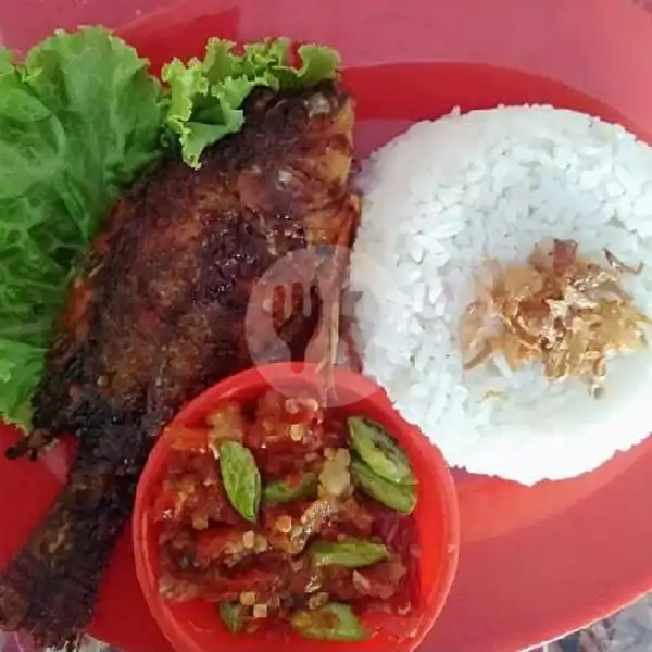 Mujair Bakar+nasi | Ayam Gemoy, Duren Sawit