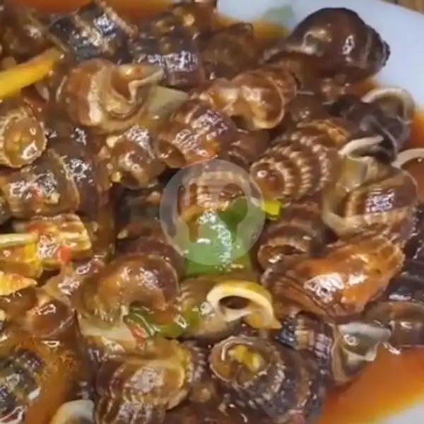 Kerang Cucut Saos Padang | Dunia Seafood, Raja H Fisabililah