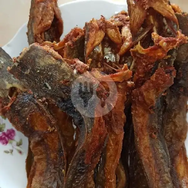 Nasi Ikan Lele Goreng | RM Mata Jaya, Bambang Utoyo