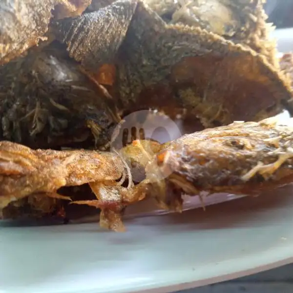Sambal Ikan Nila | Bofet Lontong Pical Nita Marapalam, Sutomo Marapalam