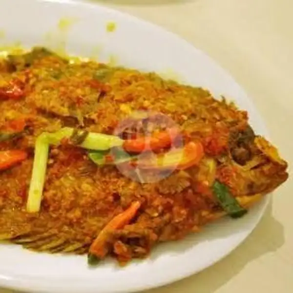 Ikan Gurame Bumbu Pesmol | Sayur Asem Rawon Sambel Jeletot, Kota