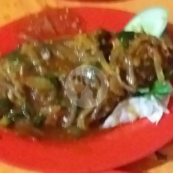ikan kakap saos tiram | Bandar 888 Sea food Nasi Uduk