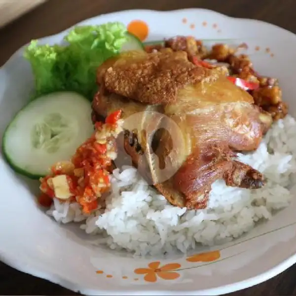 Nasi Ayam Goreng | Kedai Mindo, Letda Reta