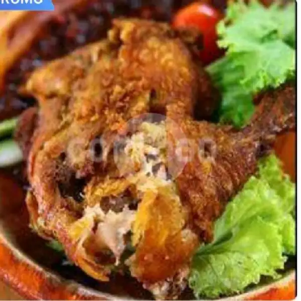 Ayam goreng Penyet+Nutri Sari | Ayam Bakar Jakarta (ABJ), Kumala