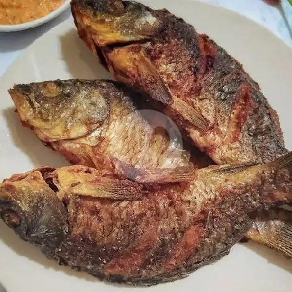 Ikan Mas Bakar/goreng RR | Ayam Bakar Ayam Goreng RR Free Sambal Dadak Dan Karedok Lenca