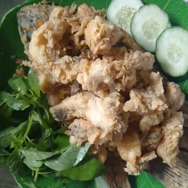 GURAME FILED 4,5 Ons TANPA NASI (PILIH SAMBEL) | Mbak Vina Seafood, Bukit Kecil