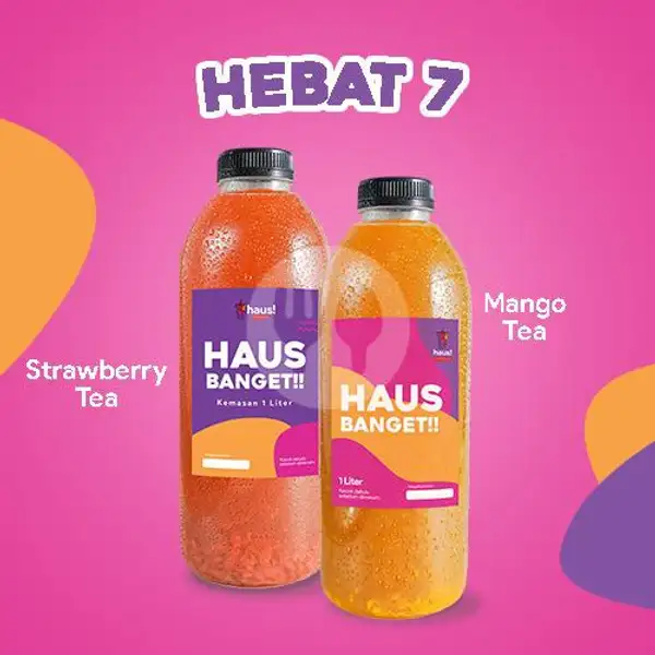 Haus Banget - Hebat 7 | Haus!, Cirebon Ciremai