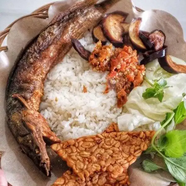 Nasi Lele + Tahu/tempe + Terong + Teh | Penyetan & Lontong Opor Dapoer Bunda, Sisingamangaraja