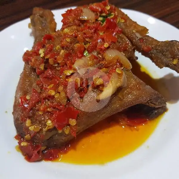 Ayam Balado | Sederhana Saja, Klojen