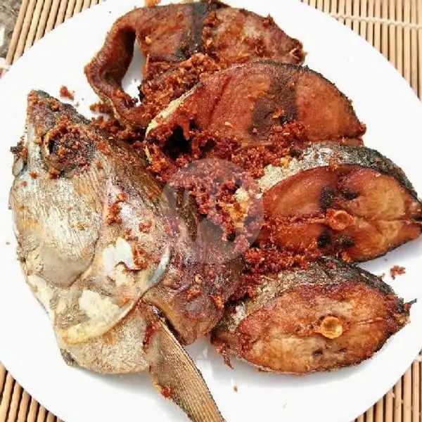 Tongkol Goreng + Nasi | Nasi Gule Wadas Lintang, Landasan Ulin