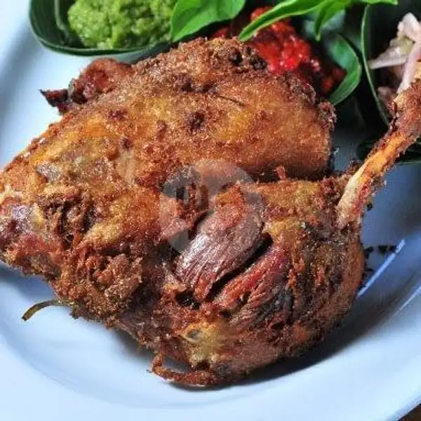 Bebek Goreng | Nasi Uduk Ayam Bakar Rasa 27, Pakuan