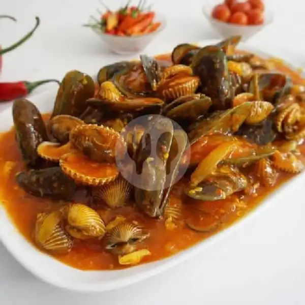 Kerang Dara Mix Kerang Ijo | Seafood Ndjedir