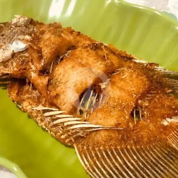 Gurame Fresh, Goreng (L) 350gr | Lalapan Seafood Ayam dan Ikan Bakar Selera Kita, WR. Supratman