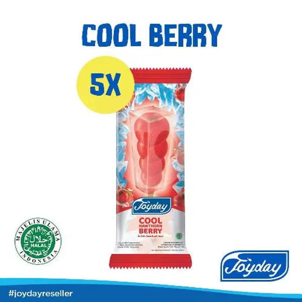 Joyday Ice Cream Cool Hawthorn Berry 70gr ( 5 pcs ) | Just Grill Kitchen & BBQ