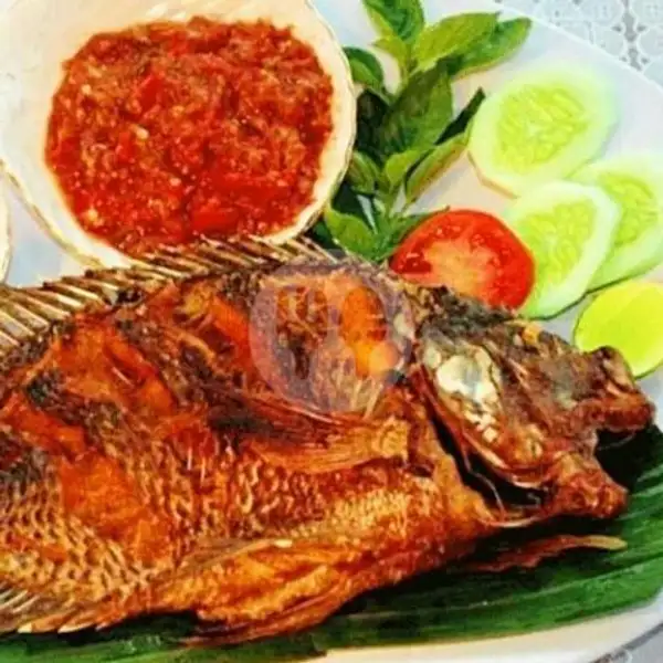 Nasi Ikan Nila Goreng | Yani's Kitchen