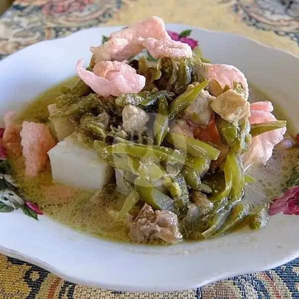 Lontong Sayur + Telur | Nasi Padang Sari Rasa (Spesial Ayam Pop & Rendang Daging), Sawojajar