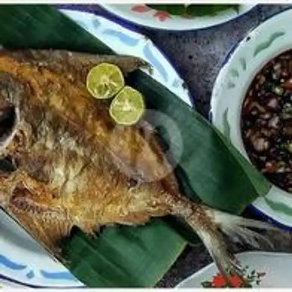 Bawal Laut Goreng Lalapan | Ayam Bakar Dan Ikan Bakar Selera Nusantara, Dapur Nusantara