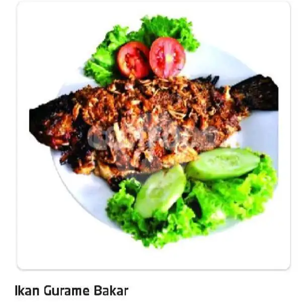 Ikan Gurame Bakar | Ayam Penyet Jakarta, Dr Mansyur