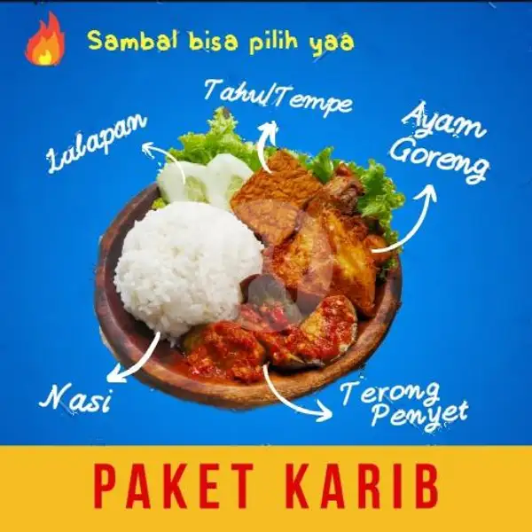 Paket KARIB Ayam Goreng (pot. 8) + Tahu/Tempe + Terong Penyet + Nasi | Nasi Kepal, Depok