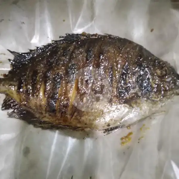 Ikan Baronang Kecil 3 Ons  Bakar Madu Rica | Ikan Bakar Madu Rica Redjo Agung, Tegalsari