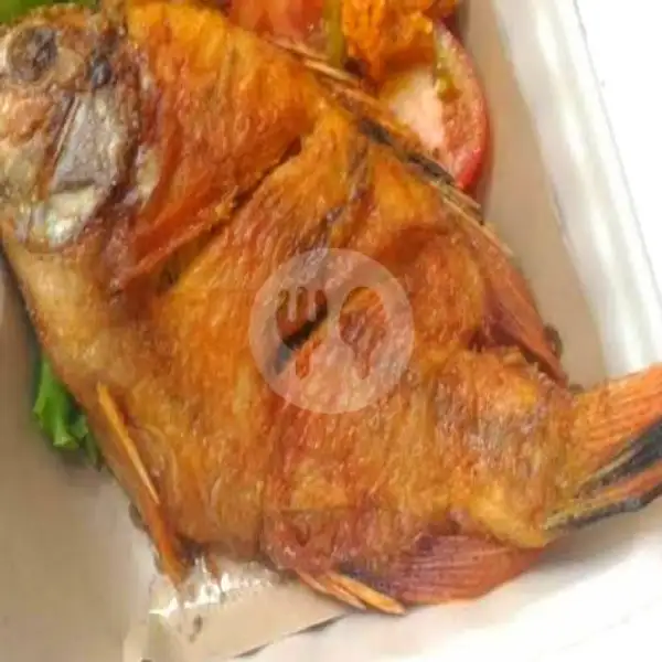 Ikan Kakap Goreng -/+ 4 ons | Gurame & Ayam Bakar Khalif, Ciputat Timur