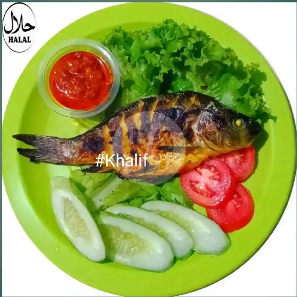 Ikan Mas Bakar BBQ | Gurame & Ayam Bakar Khalif, Ciputat Timur
