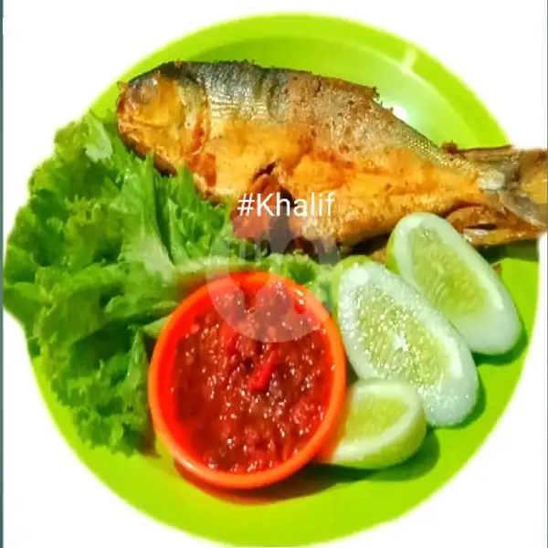 Ikan Bandeng Presto Goreng | Gurame & Ayam Bakar Khalif, Ciputat Timur