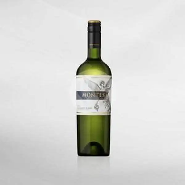 Montes Classic Series Sauvignon Blanc 750 ml | Vinyard Atrium Senen