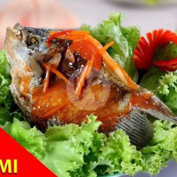 Ikan Gurami Asam Manis (6 Ons) | Pringgodani Resto & Ayam Kalasan, R A Kartini