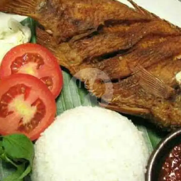Nasi Ikan Nila | Ayam Penyet Segarasa, Darul Imarah