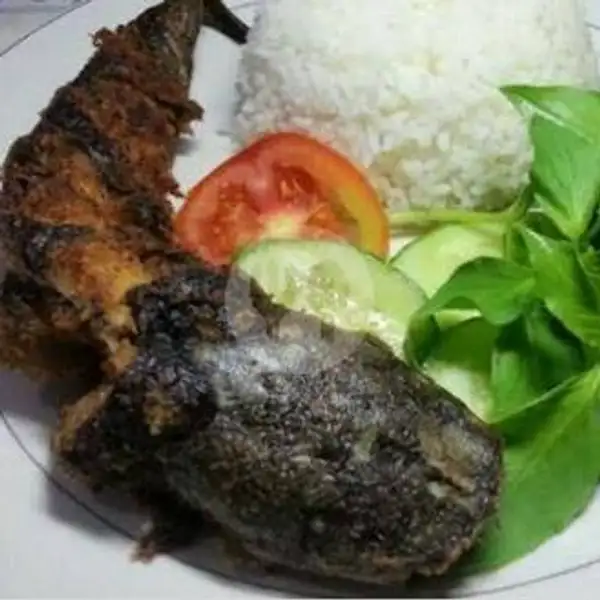 Lele Bakar + Nasi | Indo Kuliner 038 Lalapan Ayam Bakar