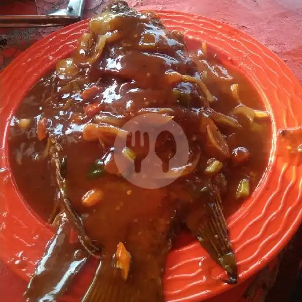 Ikan Gurame Saus Padang | Riana Jaya Sea Food 18 Ayam Kremes, Lingkar Utara