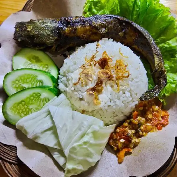 Paket Lele Goreng + Nasi | Dapur Mak Yuli 