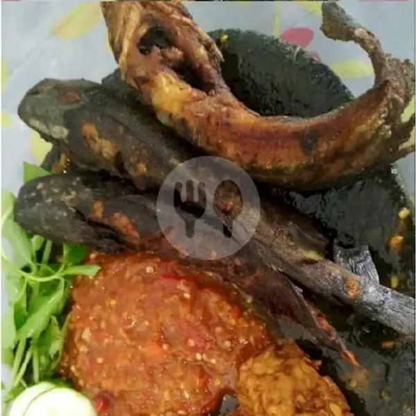 Ikan Lele Goreng | Pecel Ayam & Lele Uwa Nining, Rawajati Timur 3