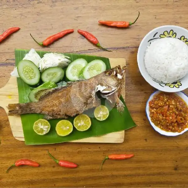 Paket Nasi Kerapu Goreng | Cumi dan Ikan Bakar Rezekimah Timana Weh, Cigadung
