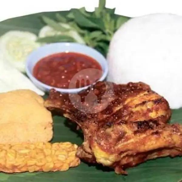 New Promo Paket Ayam Bakar | Penyet Rajasa, Gedung Batu