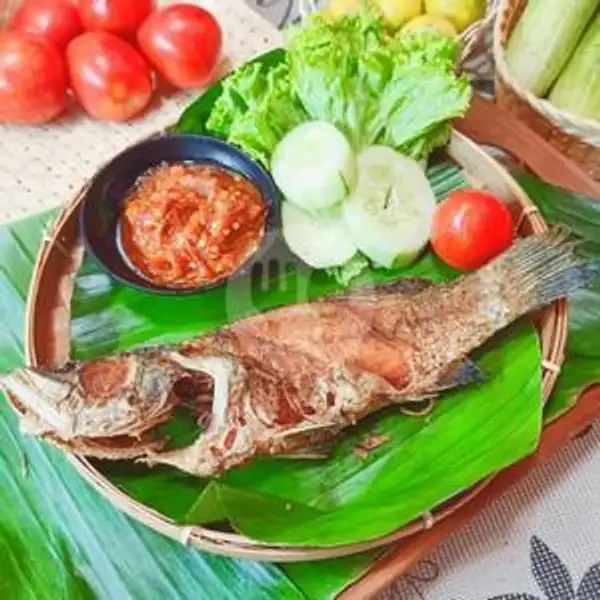 Kakap Goreng Lalapan | Ayam Bakar Dan Ikan Bakar Selera Nusantara, Dapur Nusantara