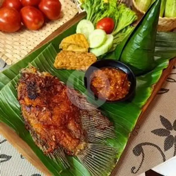Paket Nasi Uduk Gurami Bakar Komplit | Ayam Bakar Dan Ikan Bakar Selera Nusantara, Dapur Nusantara