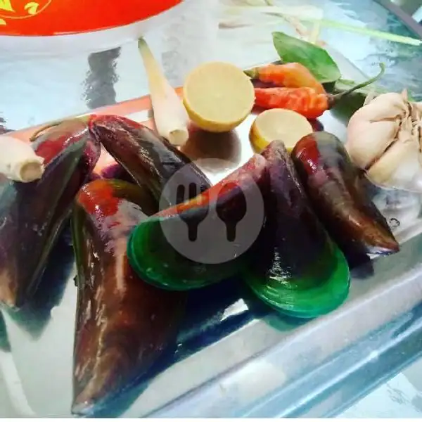 Kerang Ijo Uk 1 Kg | Seafood Mangandar, Katapang