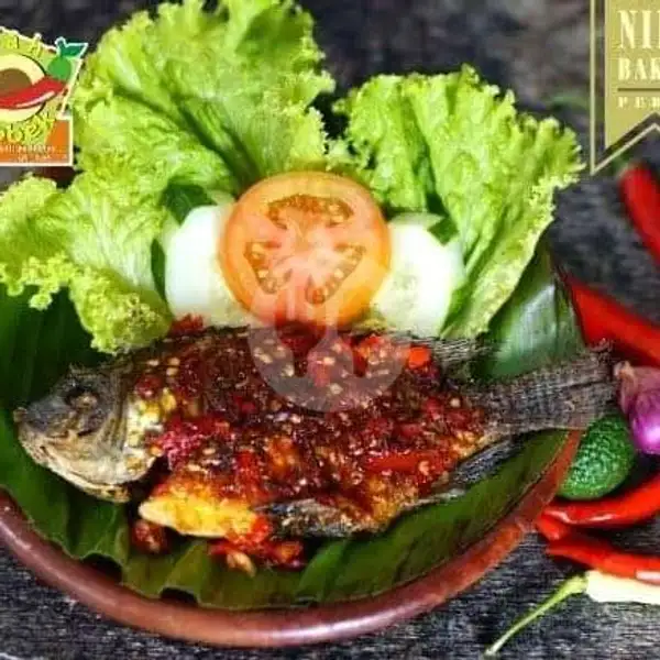 Nasi Mujaer Bakar Gratis Teh/jeruk | Ayam Bakar Madu H5, Singosari