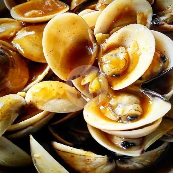 Kerang Tahu 1/2 Kg | Seafood Mangandar, Katapang