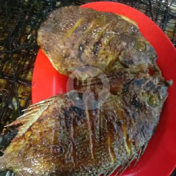 Ikan Baronang Bakar | Seafood Khayla Jaya