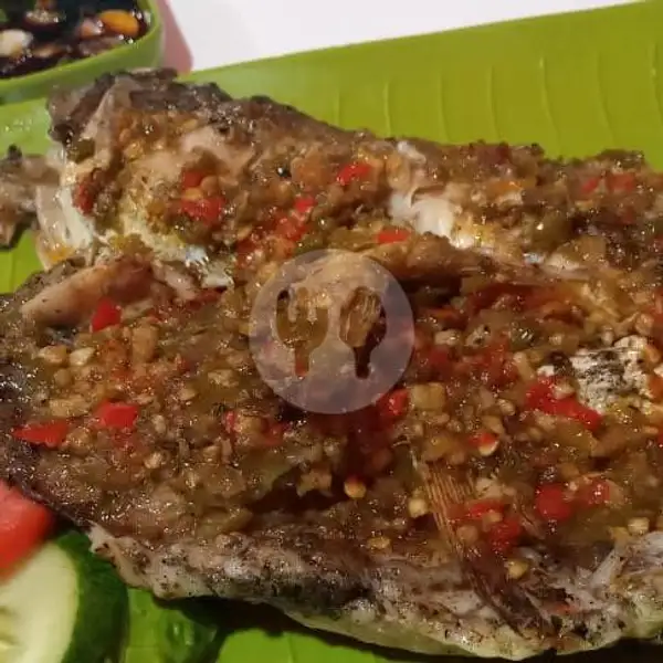 Ikan Kerapu Bakar ( Box.F ) | RM.IKAN LAUT BAKAR NELAYAN