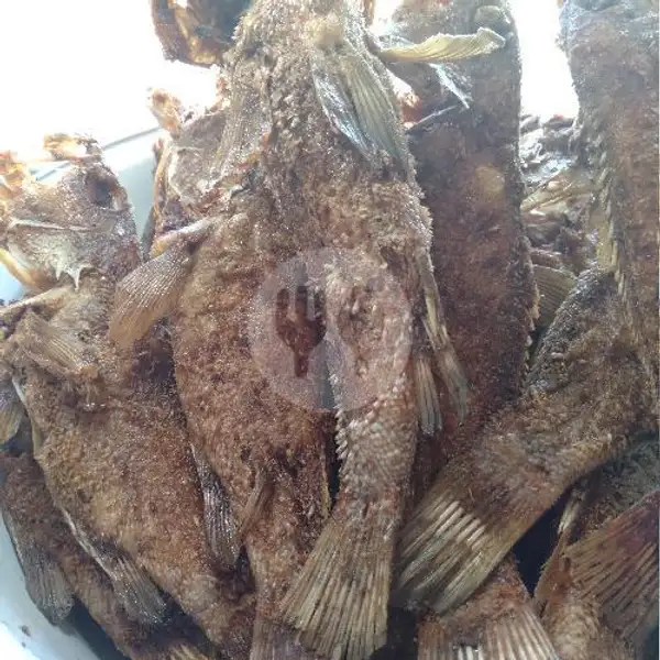 Ikan Kerapu Goreng | Warung Makan Bromo Indah