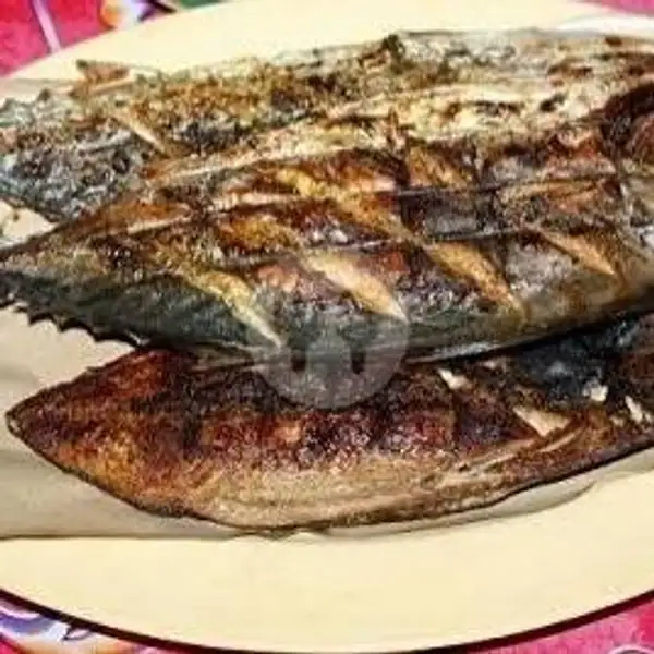 Paket Tongkol Bakar | Ikan Bakar Big Size, Cipondoh