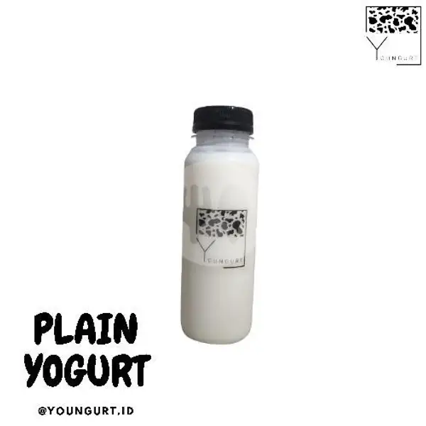 Plain Yogurt | Young Yogurt