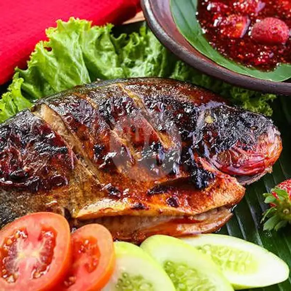 Paket Kenyang Rame Rame Ikan Bakar/goreng | Ayam Bakar Ayam Goreng RR Free Sambal Dadak Dan Karedok Lenca